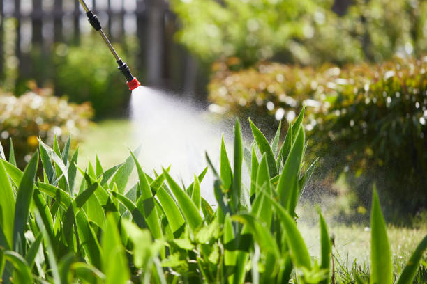 Tamper-Resistant Bait Stations for Rodents in Marion